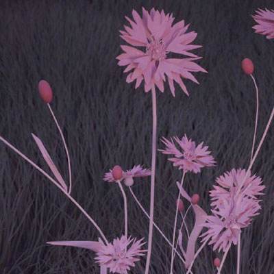 亚博app(中国)官方网站手机app下载