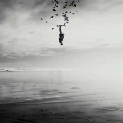 域网棋牌app下载