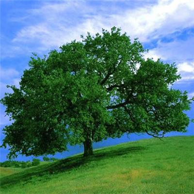 新宝体育官方登录入口