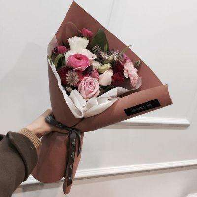 波胆app官网手机app下载