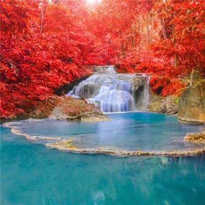 澳门新葡萄新京8883