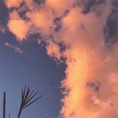 万博体育苹果下载