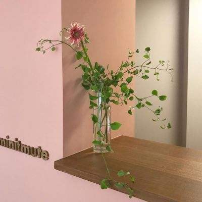 乐彩彩票welcome手机app下载