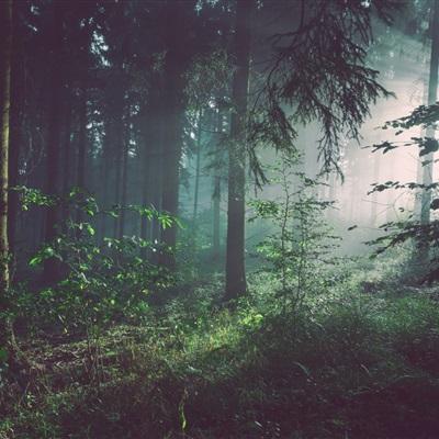 乐鱼app(中国体育)官方网站